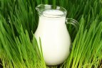Как правильно вскипятить молоко в мультиварке